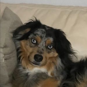 Meet your Posher, Kerry